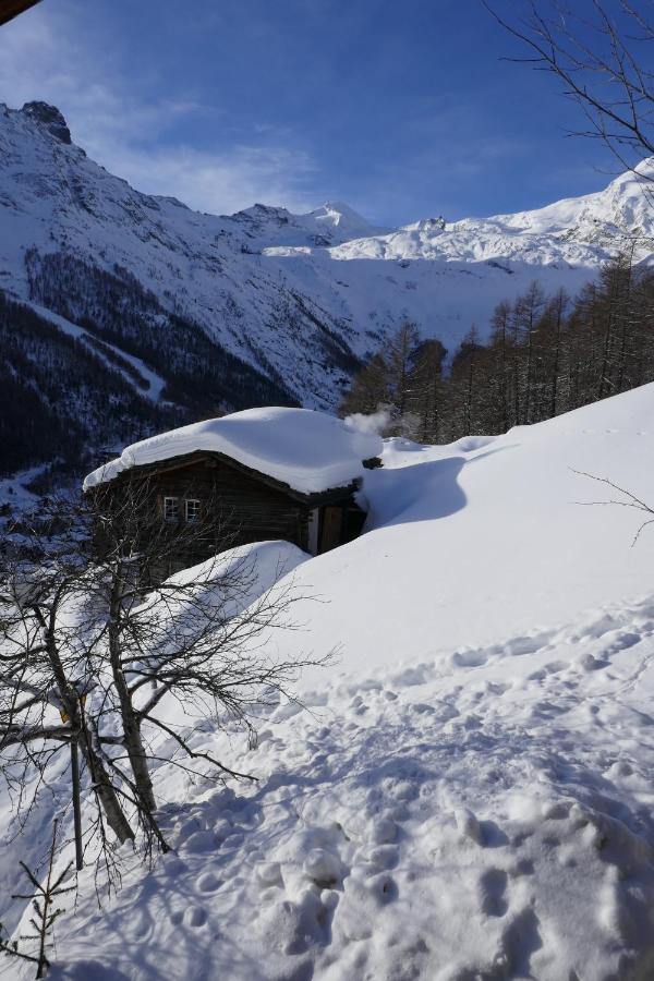 Вилла Chalet Birkhahn Зас-Фе Экстерьер фото