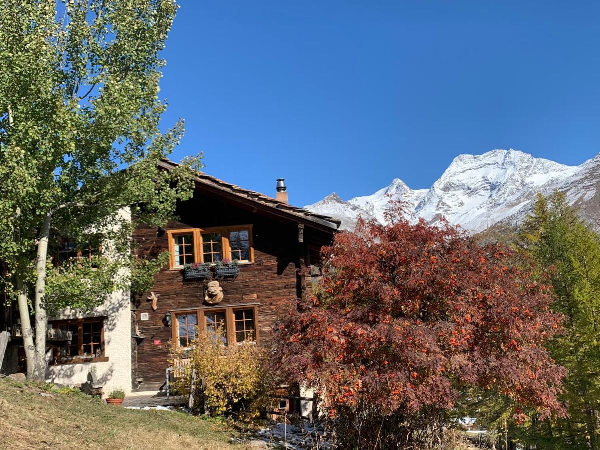 Вилла Chalet Birkhahn Зас-Фе Экстерьер фото